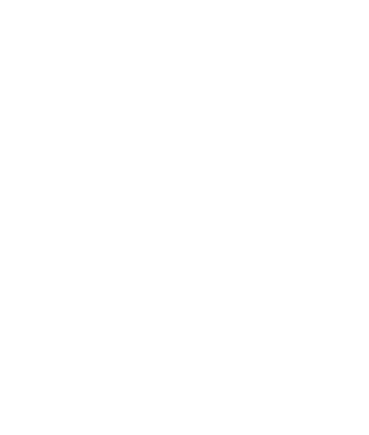 Bird's Eye Maine